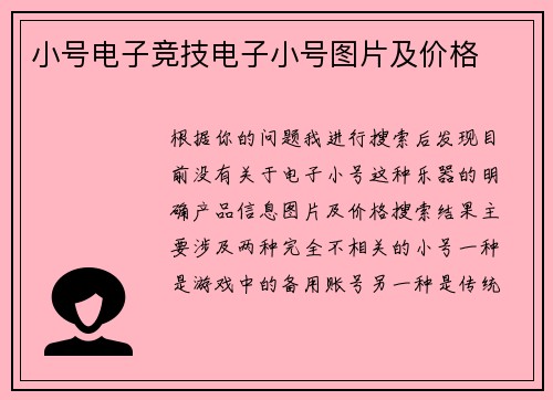 小号电子竞技电子小号图片及价格
